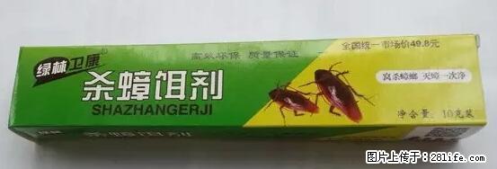 【紧急提醒】如果有“防疫站工作人员”上门灭杀蟑螂，请立刻报警 - 灌水专区 - 香港生活社区 - 香港28生活网 hk.28life.net