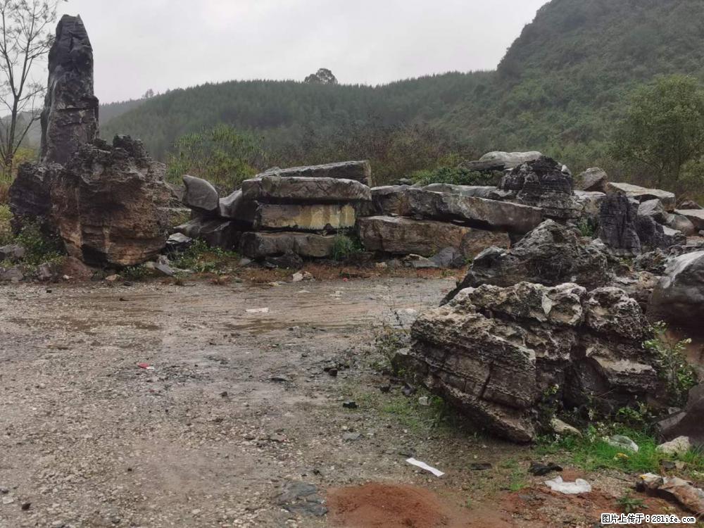 风景石、假山石大量有货，有需要的欢迎联系 - 新手上路 - 香港生活社区 - 香港28生活网 hk.28life.net