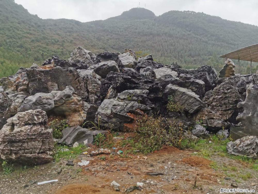 风景石、假山石大量有货，有需要的欢迎联系 - 新手上路 - 香港生活社区 - 香港28生活网 hk.28life.net