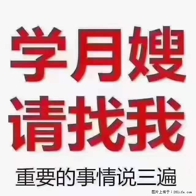 为什么要学习月嫂，育婴师？ - 新手上路 - 香港生活社区 - 香港28生活网 hk.28life.net
