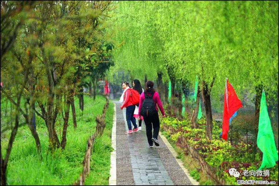 【春天，广西桂林灌阳县向您发出邀请！】江口老街又逢春 - 游山玩水 - 香港生活社区 - 香港28生活网 hk.28life.net