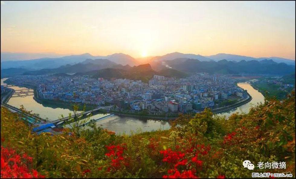 【春天，广西桂林灌阳县向您发出邀请！】登麒麟山，相约映山红 - 游山玩水 - 香港生活社区 - 香港28生活网 hk.28life.net