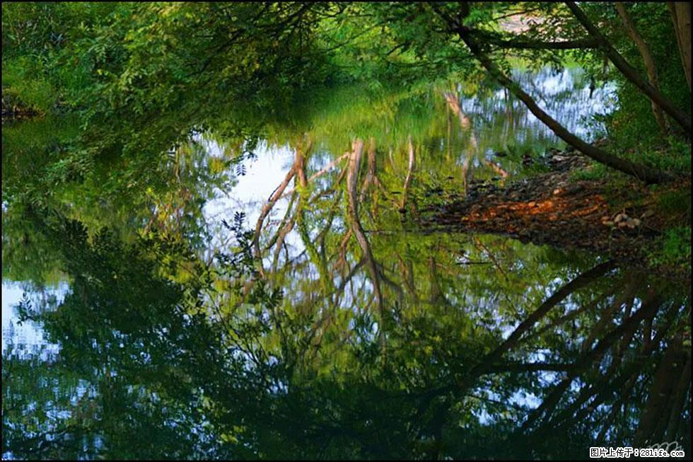 【春天，广西桂林灌阳县向您发出邀请！】熊家寨湿地公园 - 游山玩水 - 香港生活社区 - 香港28生活网 hk.28life.net