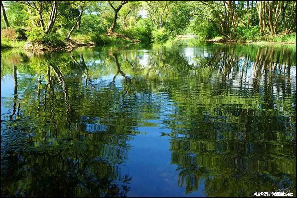 【春天，广西桂林灌阳县向您发出邀请！】熊家寨湿地公园 - 游山玩水 - 香港生活社区 - 香港28生活网 hk.28life.net