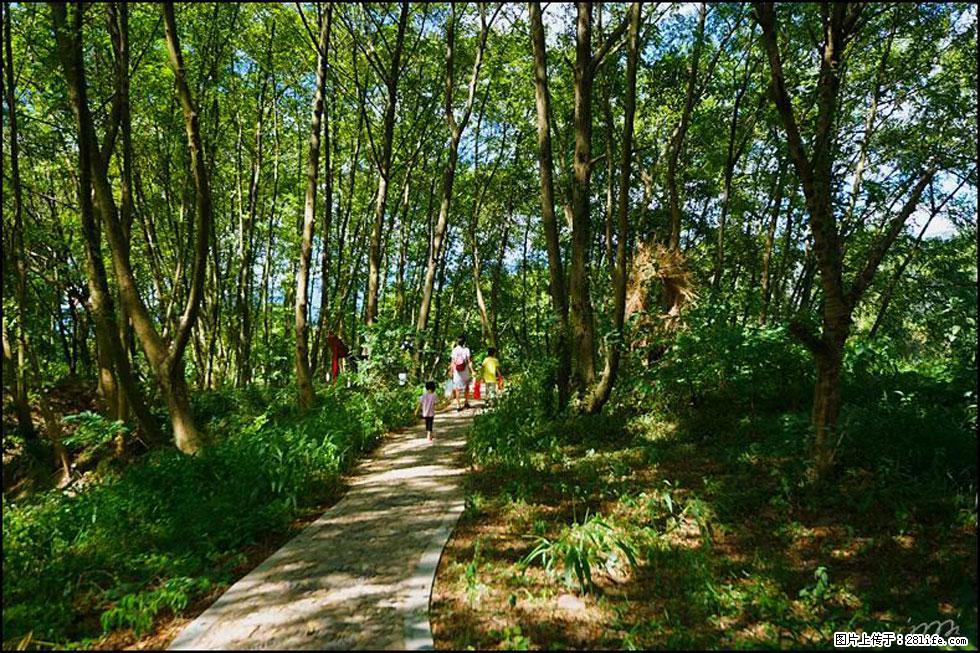 【春天，广西桂林灌阳县向您发出邀请！】熊家寨湿地公园 - 游山玩水 - 香港生活社区 - 香港28生活网 hk.28life.net
