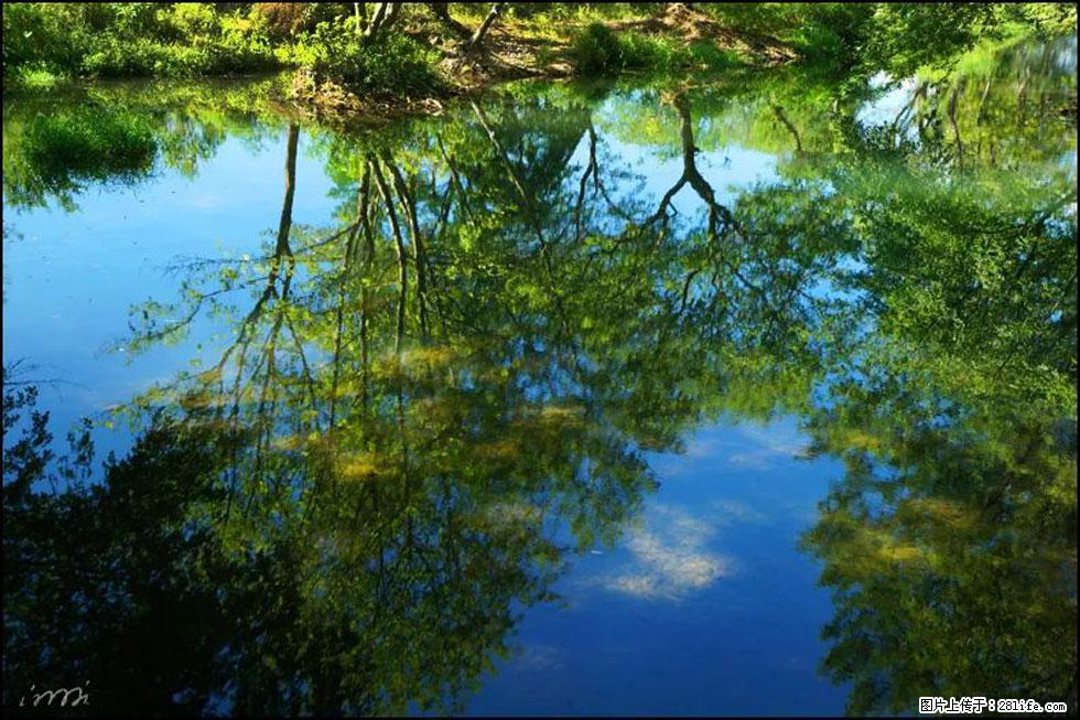 【春天，广西桂林灌阳县向您发出邀请！】熊家寨湿地公园 - 游山玩水 - 香港生活社区 - 香港28生活网 hk.28life.net