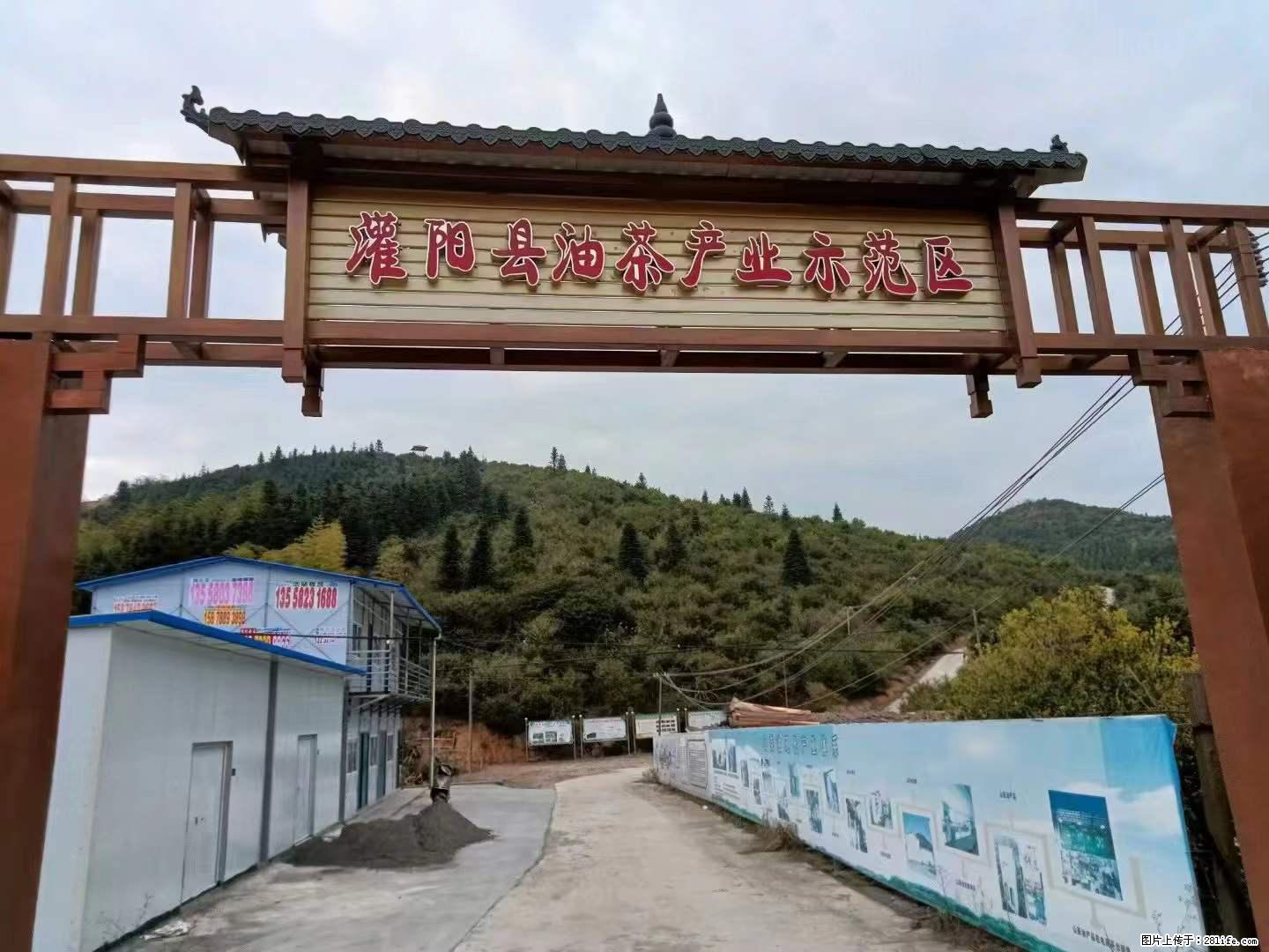 【灌阳县油茶产业示范区】一个有着充实的精神生活的人，对待身外之物自会有一种淡泊的态度 - 美食天地 - 香港生活社区 - 香港28生活网 hk.28life.net