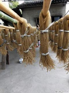 【灌阳正宗红薯粉】美女家里自己做的，干净卫生，假一赔十，价格合理，抢购电话：13737312895 - 香港28生活网 hk.28life.net