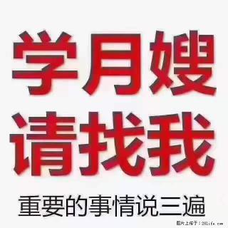为什么要学习月嫂，育婴师？ - 香港28生活网 hk.28life.net