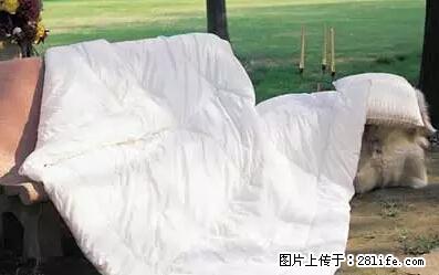 被子有异味？只要这样做，比晒太阳还强100倍！ - 家居生活 - 香港生活社区 - 香港28生活网 hk.28life.net