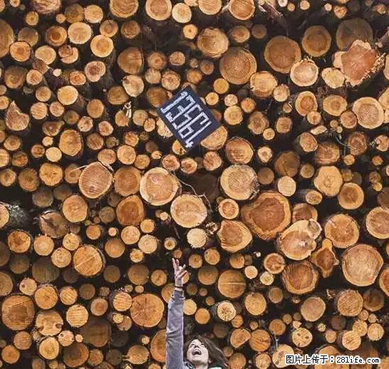 辞掉工作周游世界？现在他们在洗厕所…… - 游山玩水 - 香港生活社区 - 香港28生活网 hk.28life.net