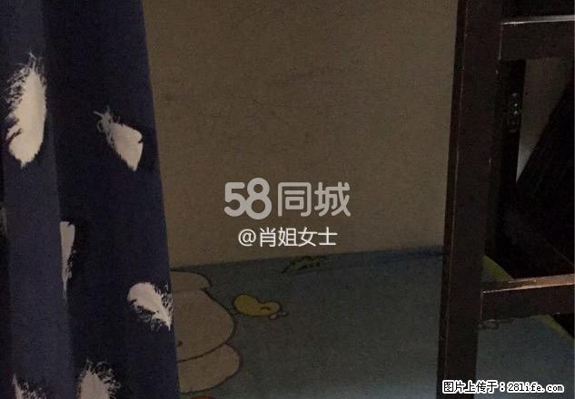宏安大厦 1室1厅1卫 - 房屋出租 - 房屋租售 - 香港分类信息 - 香港28生活网 hk.28life.net