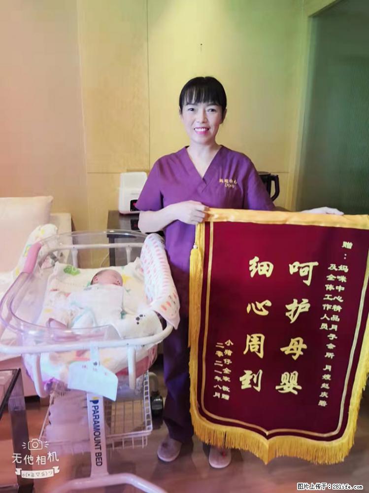 上海高端月子会所招新手月嫂，零基础带教，包吃住 - 职场交流 - 香港生活社区 - 香港28生活网 hk.28life.net