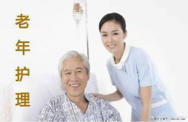 上海国企养老院，星级酒店环境，招聘养老护工 - 职场交流 - 香港生活社区 - 香港28生活网 hk.28life.net