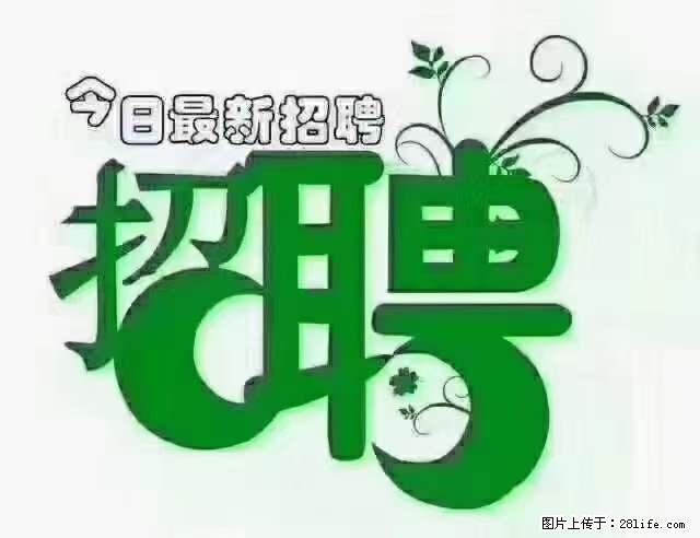 【招聘摄像师】待遇：试用期6000元/月，转正7000元/月+五险一金+餐补+节日福利+奖金 - 职场交流 - 香港生活社区 - 香港28生活网 hk.28life.net