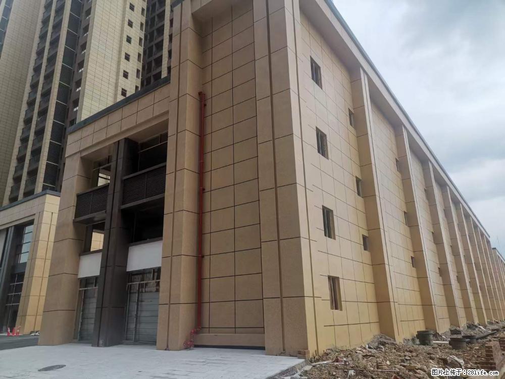 【广西三象建筑安装工程有限公司】外墙涂料工程 - 新手上路 - 香港生活社区 - 香港28生活网 hk.28life.net