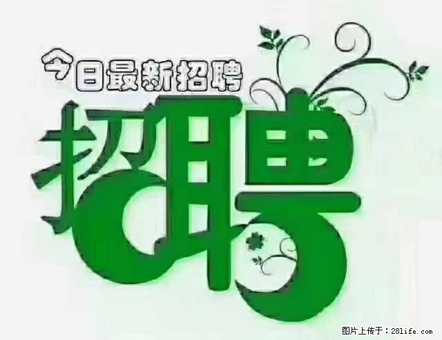 上海青浦区招仓管 - 职场交流 - 香港生活社区 - 香港28生活网 hk.28life.net