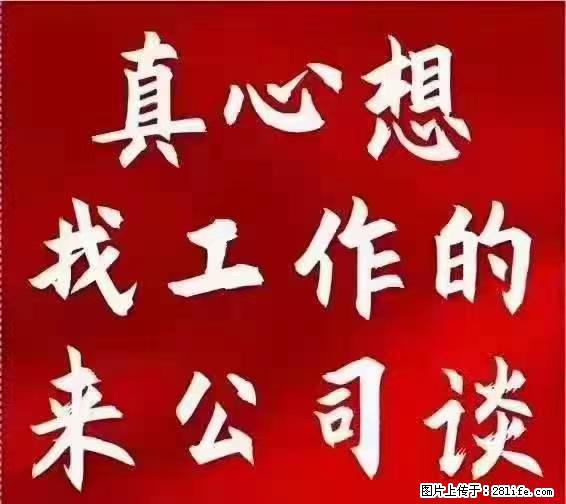 【上海】国企，医院招两名男保安，55岁以下，身高1.7米以上，无犯罪记录不良嗜好 - 职场交流 - 香港生活社区 - 香港28生活网 hk.28life.net