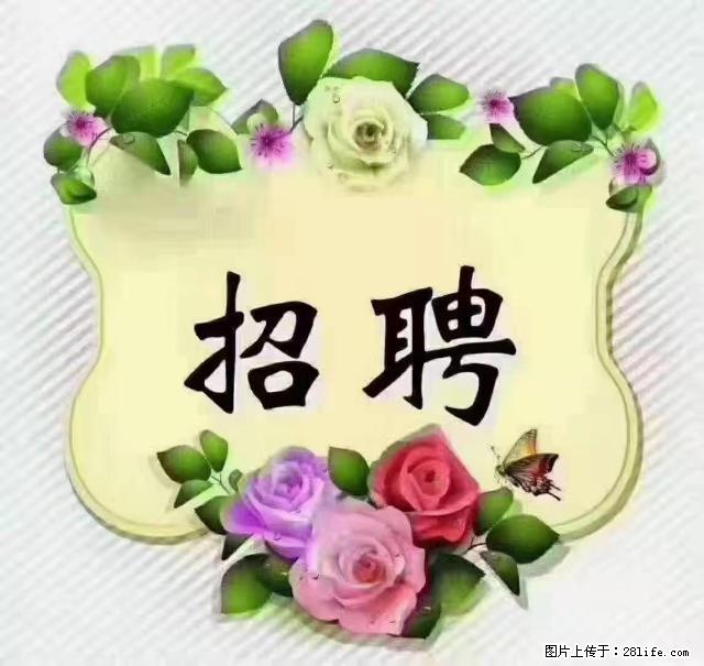 【招聘】住家育儿嫂，上户日期：4月4日，工作地址：上海 黄浦区 - 职场交流 - 香港生活社区 - 香港28生活网 hk.28life.net