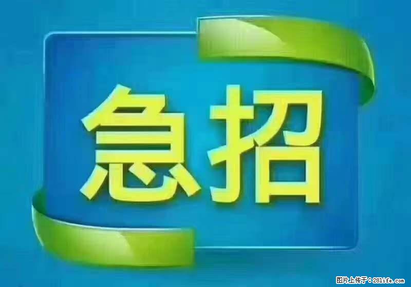 招财务，有会计证的，熟手会计1.1万底薪，上海五险一金，包住，包工作餐，做六休一 - 职场交流 - 香港生活社区 - 香港28生活网 hk.28life.net