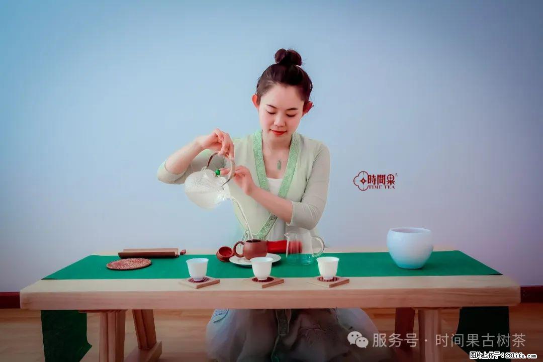 时间果百年古树龙珠普洱生茶 - 购物交流 - 香港生活社区 - 香港28生活网 hk.28life.net