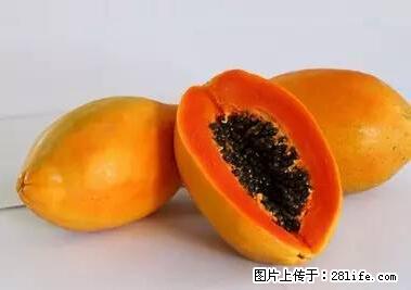 晕车、脚气、牙齿变黄、皮肤粗糙？学会这些三分钟搞定！ - 香港生活资讯 - 香港28生活网 hk.28life.net