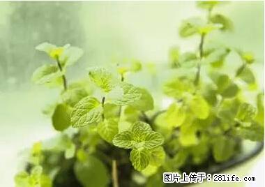 晕车、脚气、牙齿变黄、皮肤粗糙？学会这些三分钟搞定！ - 香港生活资讯 - 香港28生活网 hk.28life.net
