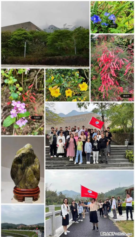 “粤灌文化 美好生活”油茶文化主题活动在广东深圳成功举办 - 香港生活资讯 - 香港28生活网 hk.28life.net