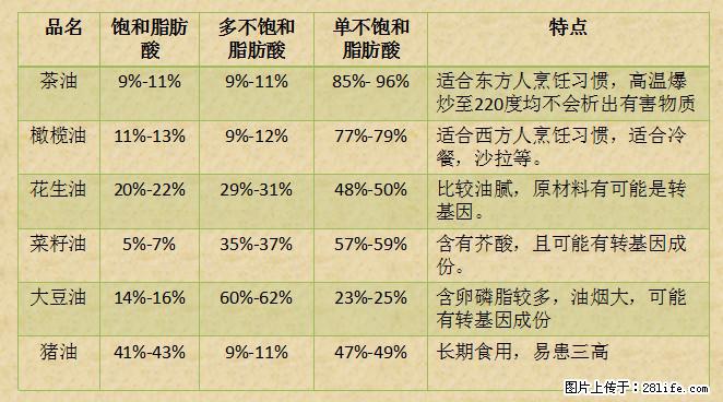 揭秘茶油的5大核心营养成分！被称为人体健康的“守护盾”！ - 香港生活资讯 - 香港28生活网 hk.28life.net