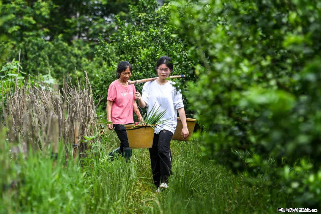 全网追的“扁担女孩”，找了一份暑假工，时薪12元 - 香港生活资讯 - 香港28生活网 hk.28life.net