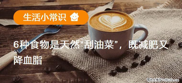 【生活小常识】6种食物是天然“刮油菜”，既减肥又降血脂 - 香港生活资讯 - 香港28生活网 hk.28life.net