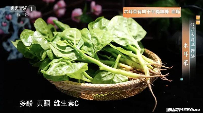 比牛奶补钙还厉害！凉血解毒、稳血糖...这菜冬天必吃，很多人却当草 - 香港生活资讯 - 香港28生活网 hk.28life.net