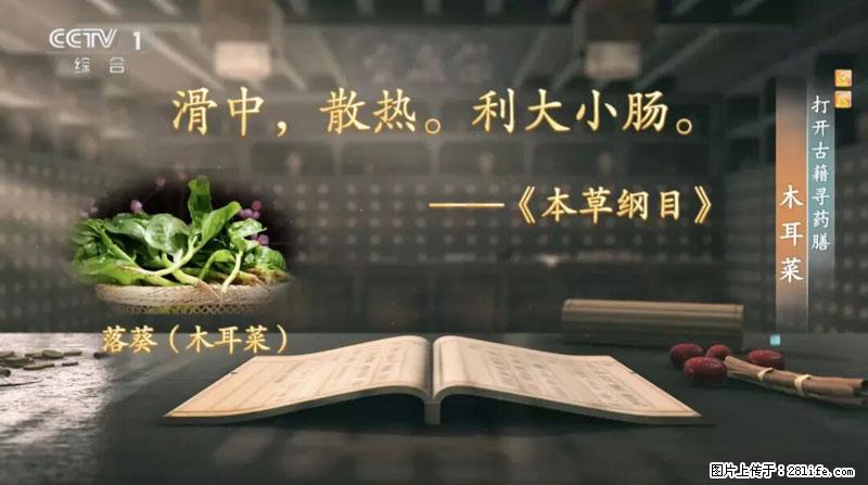 比牛奶补钙还厉害！凉血解毒、稳血糖...这菜冬天必吃，很多人却当草 - 香港生活资讯 - 香港28生活网 hk.28life.net