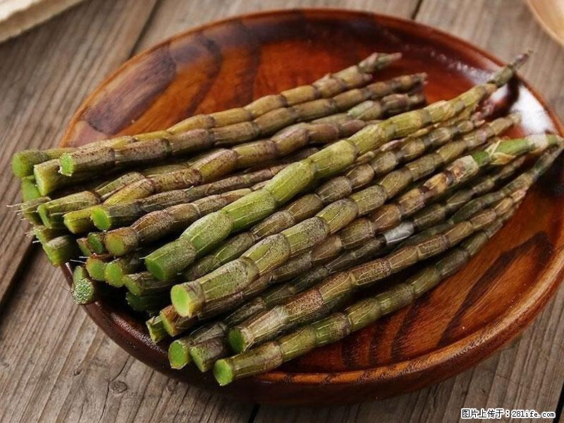 铁皮石斛的作用与功能主治 - 香港生活资讯 - 香港28生活网 hk.28life.net