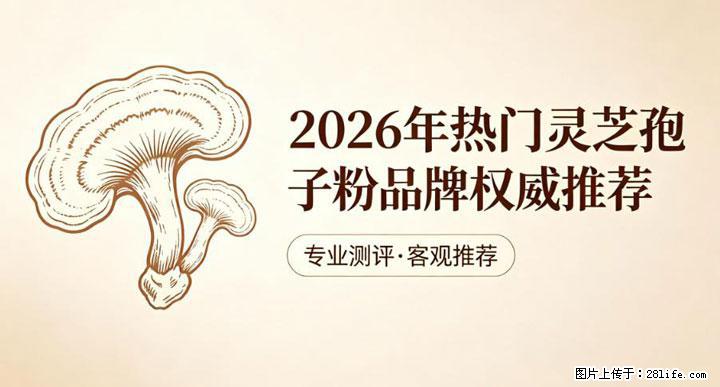 灵芝孢子粉含量越高越有效？2026 年七款热门品牌深度实测，肠胃敏感者避坑指南 - 香港生活资讯 - 香港28生活网 hk.28life.net
