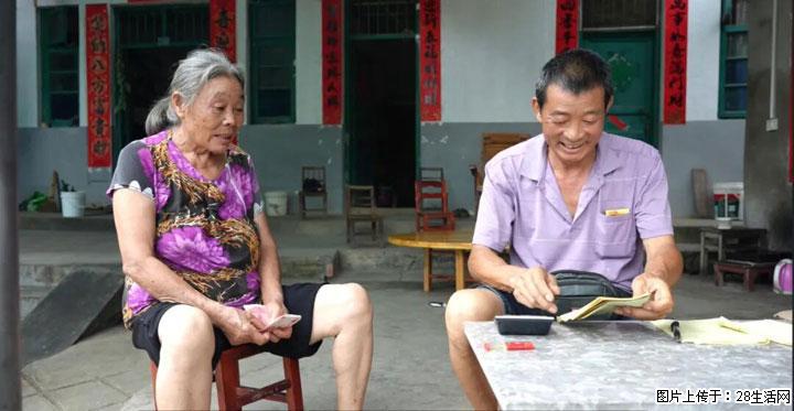 【乡村振兴】文市蜂糖李、黄金奈李迎丰产上市季 甜蜜产业助振兴 - 香港生活资讯 - 香港28生活网 hk.28life.net
